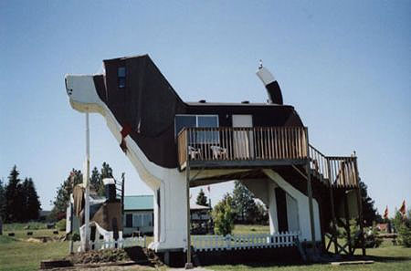 Dog Bark Park Hotel
